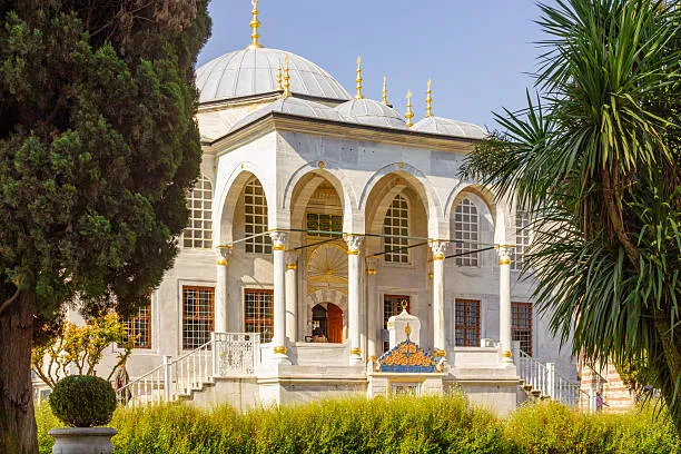 تصميم احواش قصور